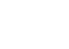 GOOSE